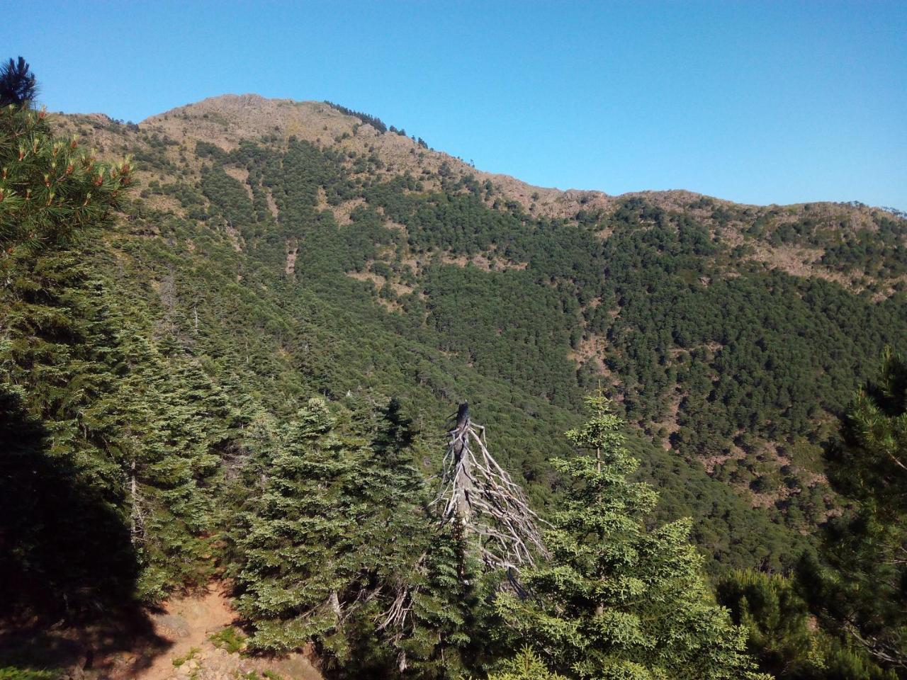 Apartamentos Rurales Mirador De Jubrique Kültér fotó