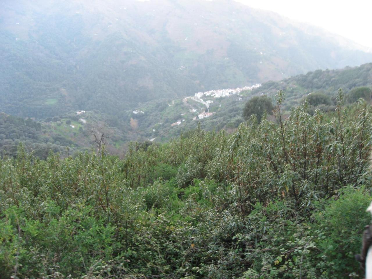 Apartamentos Rurales Mirador De Jubrique Kültér fotó